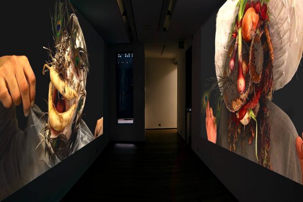 1 What! Art though like the Adder waxen and deaf_ Rafael Perez Hernando Gallery Madrid Video Instalaltion in two channels