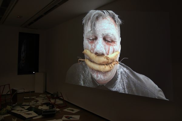 34 What! Art though like the Adder waxen and deaf_ Rafael Perez Hernando Gallery Madrid Video Instalaltion in two channels