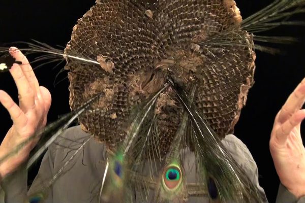 39 What! Art though like the Adder waxen and deaf_ Rafael Perez Hernando Gallery Madrid Video Instalaltion in two channels