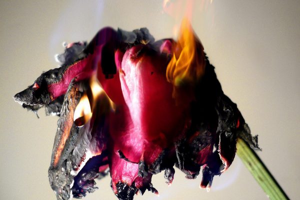 FilipposTsitsopoulos-1