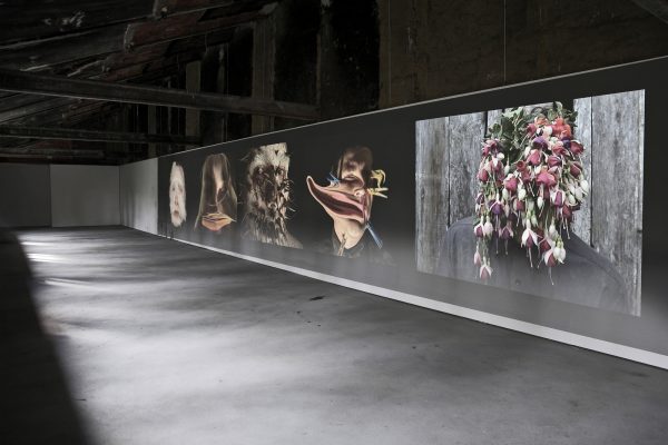 FilipposTsitsopoulos-39