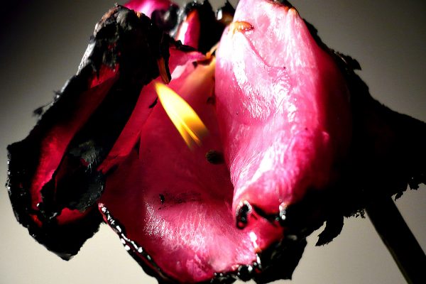 FilipposTsitsopoulos-4