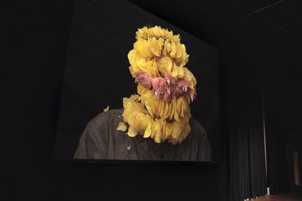 FilipposTsitsopoulos-42