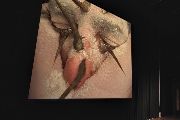 FilipposTsitsopoulos-43