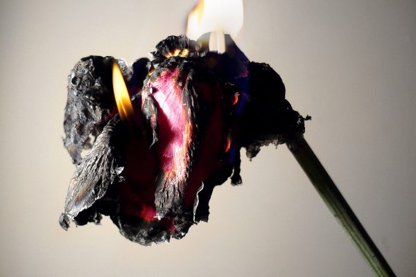 FilipposTsitsopoulos-5