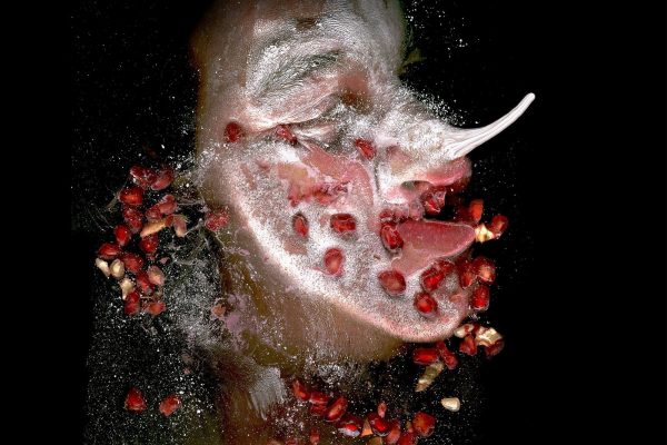 FilipposTsitsopoulos-63